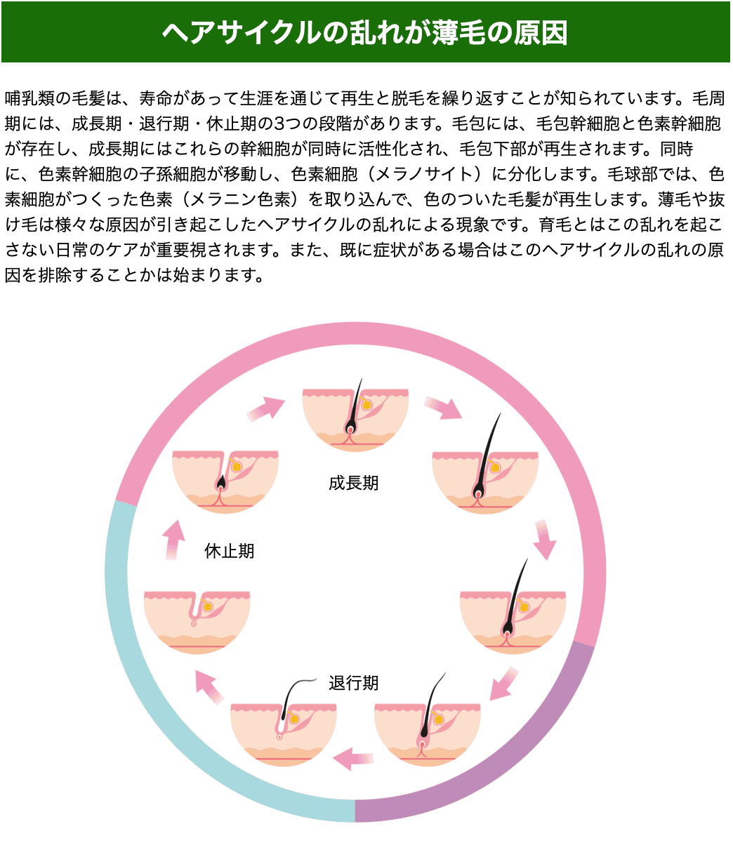 スクリーンショット 2023-06-01 14.59.29.png