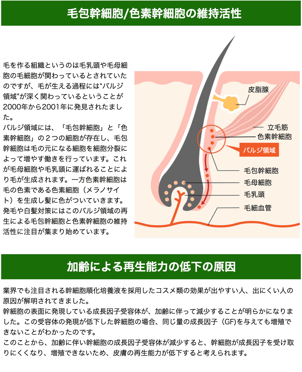 スクリーンショット 2023-06-01 14.59.41.png