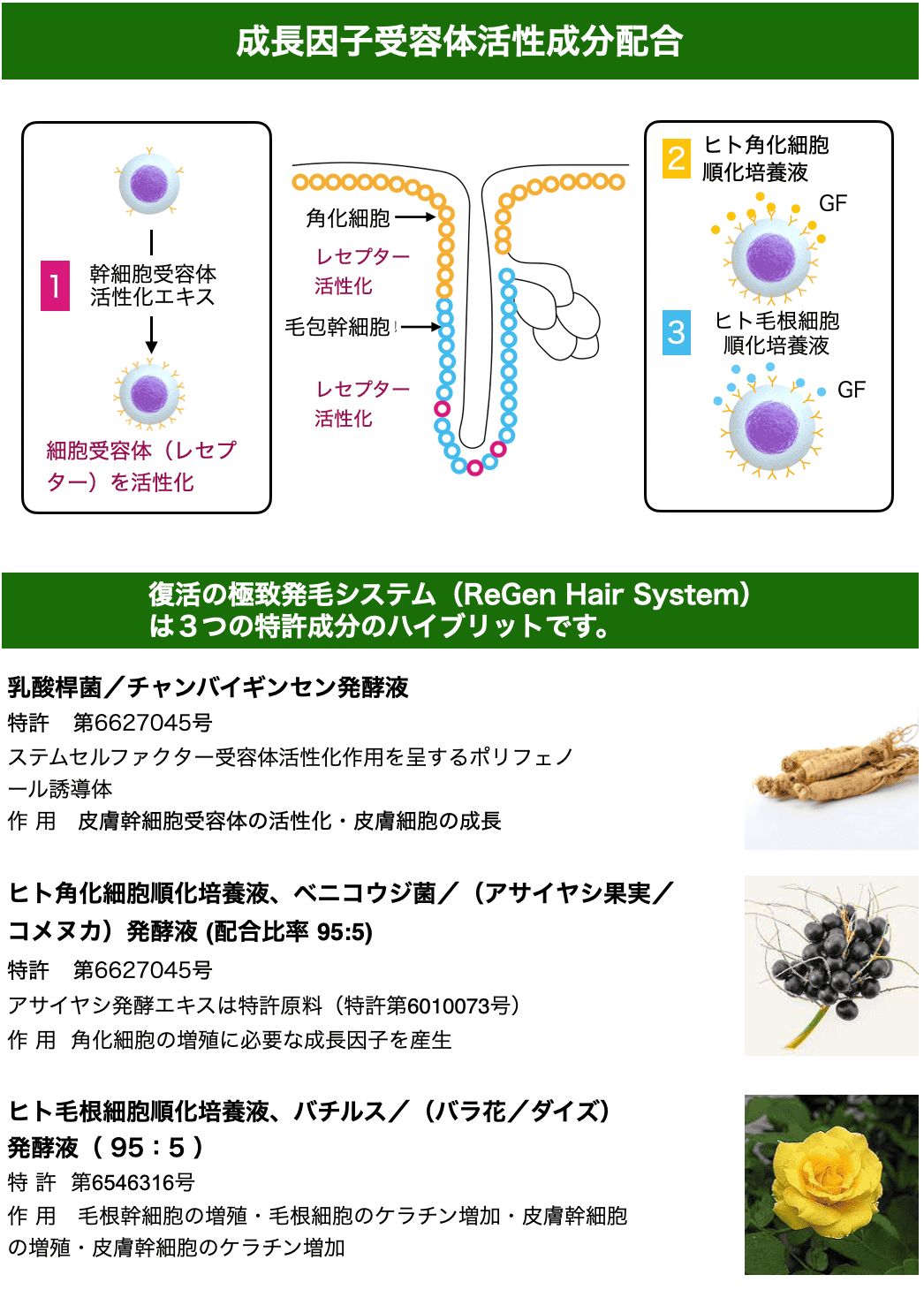 スクリーンショット 2023-06-01 14.59.52.png