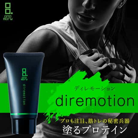 diremotion　ディレモーションパンフレット