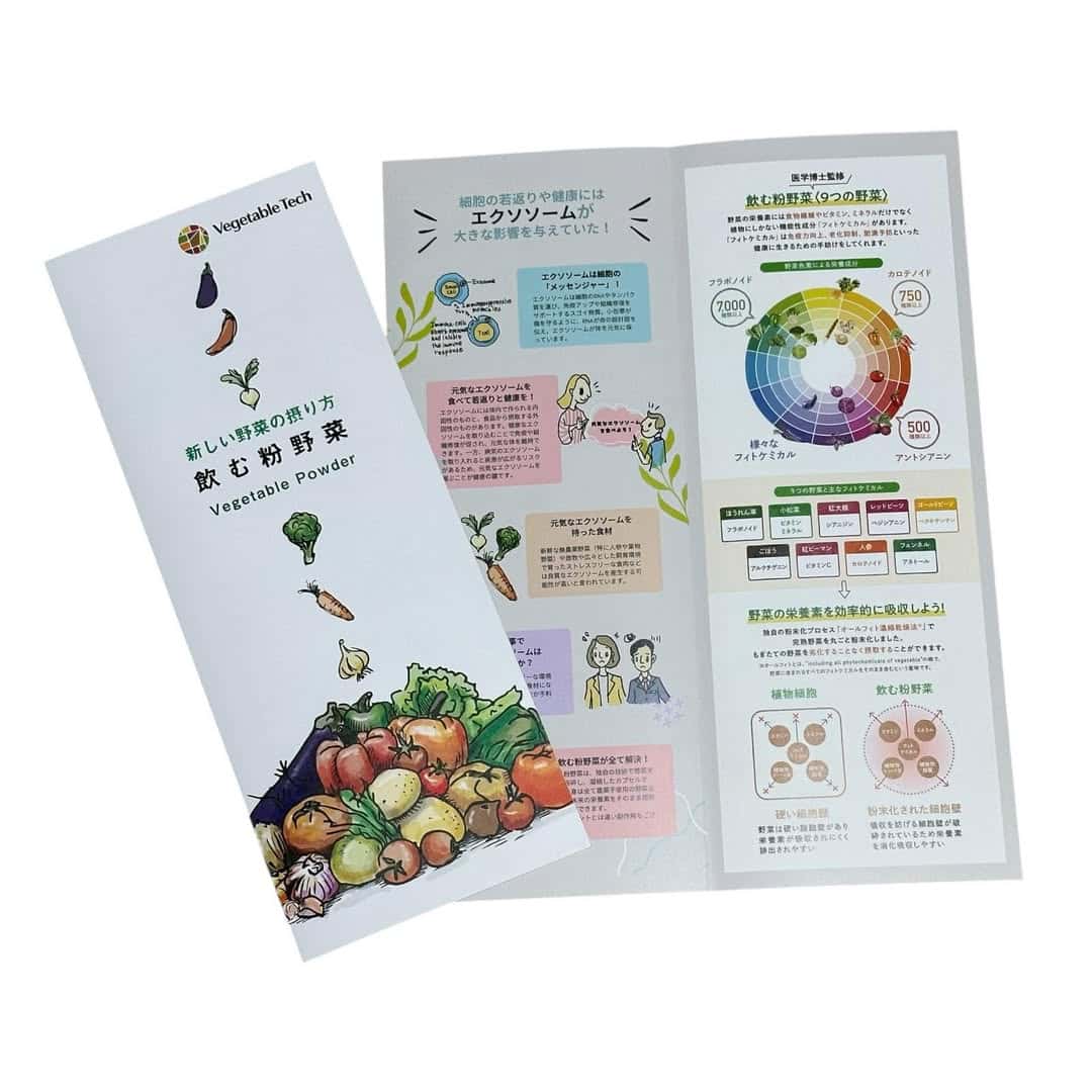 飲む粉野菜パンフレット