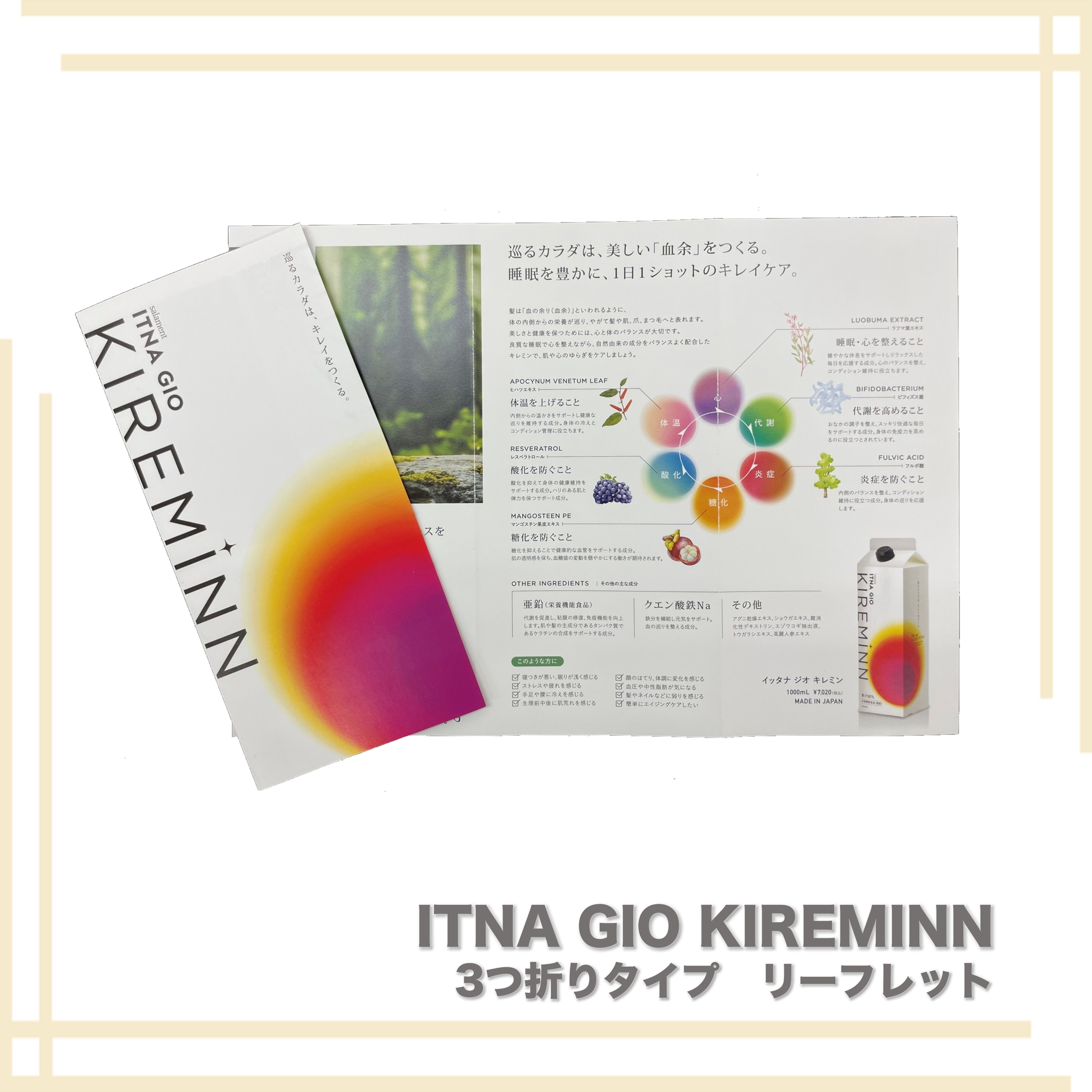 サラメンテ イッタナジオ　キレミン 3つ折り　リーフレット