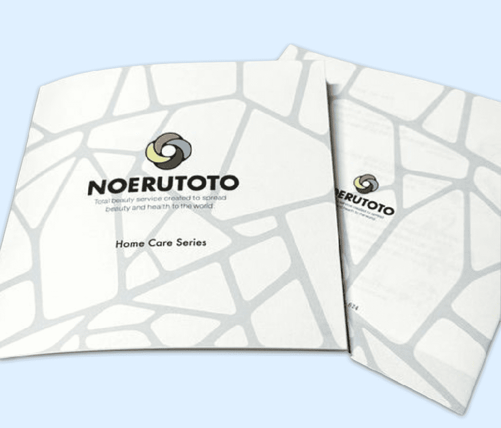 ルイス・リカーリ  「ノエルトト」  パンフレット