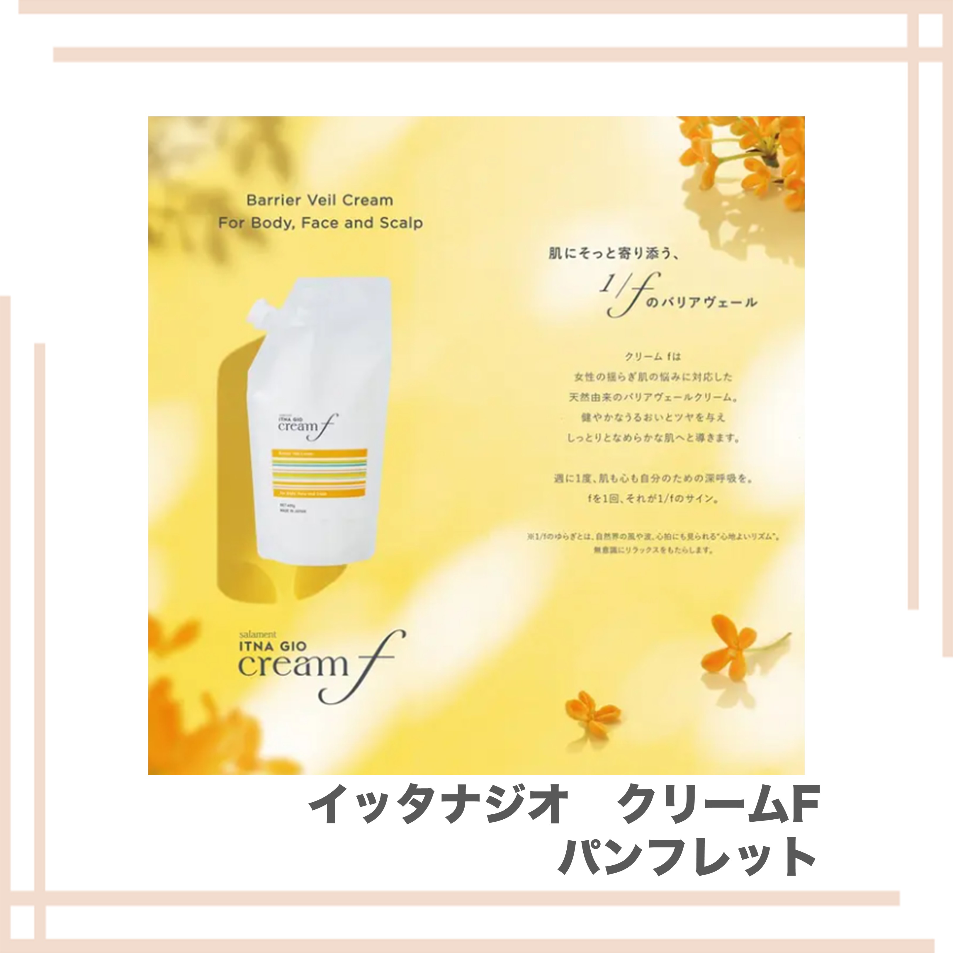 サラメンテ　イッタナジオ　クリームF　パンフレット