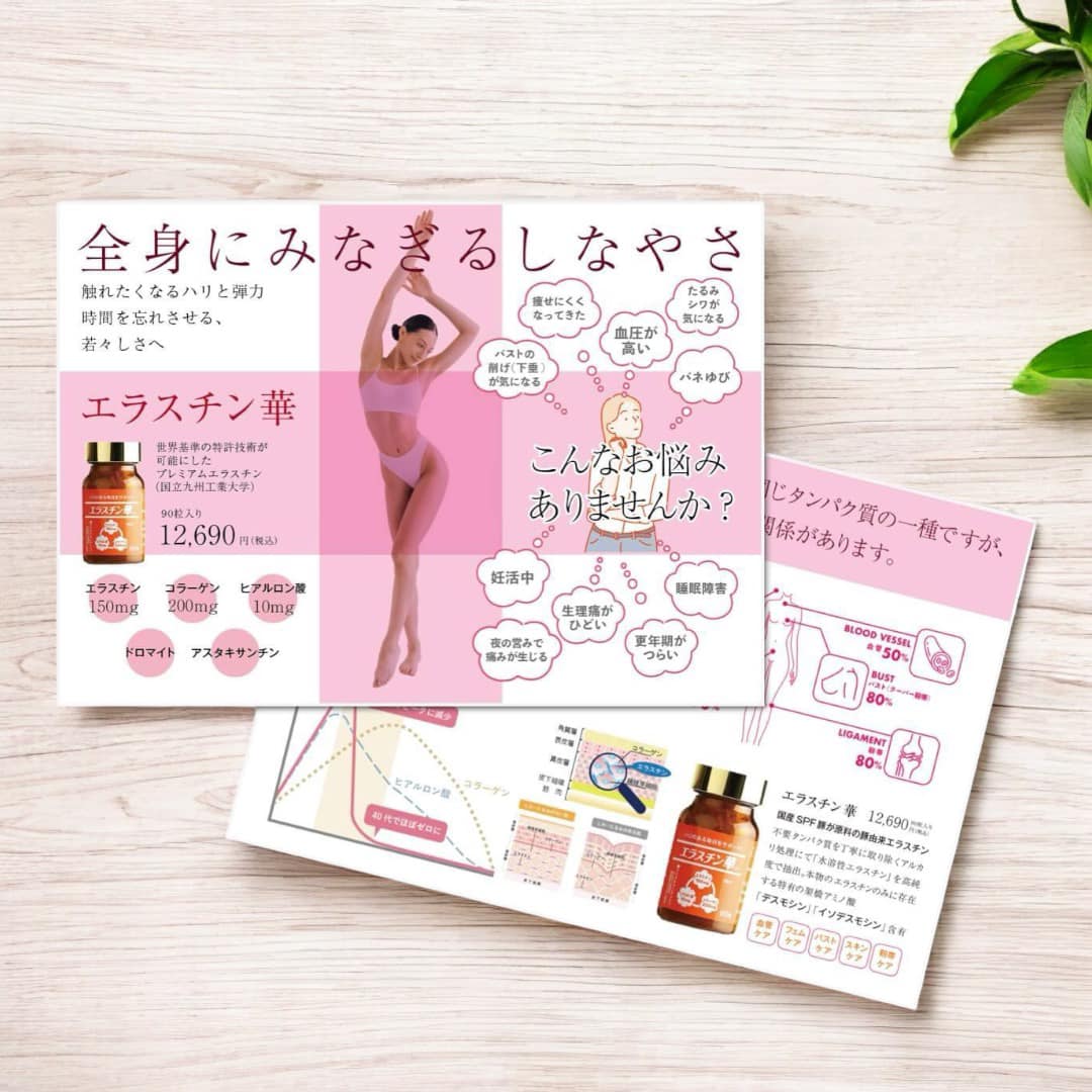 エラスチン華　POP