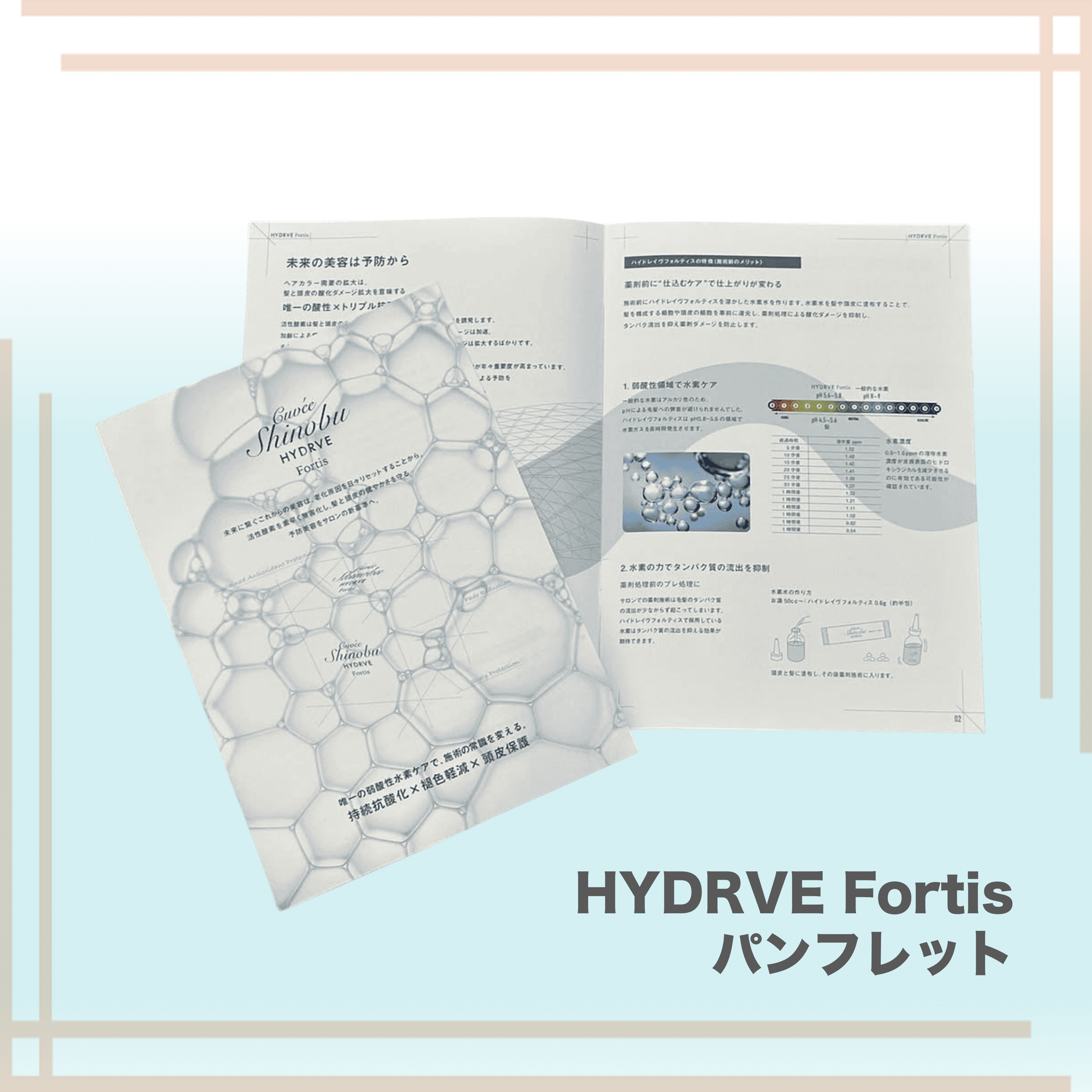 ハイドレイヴ　フォルティス　パンフレット