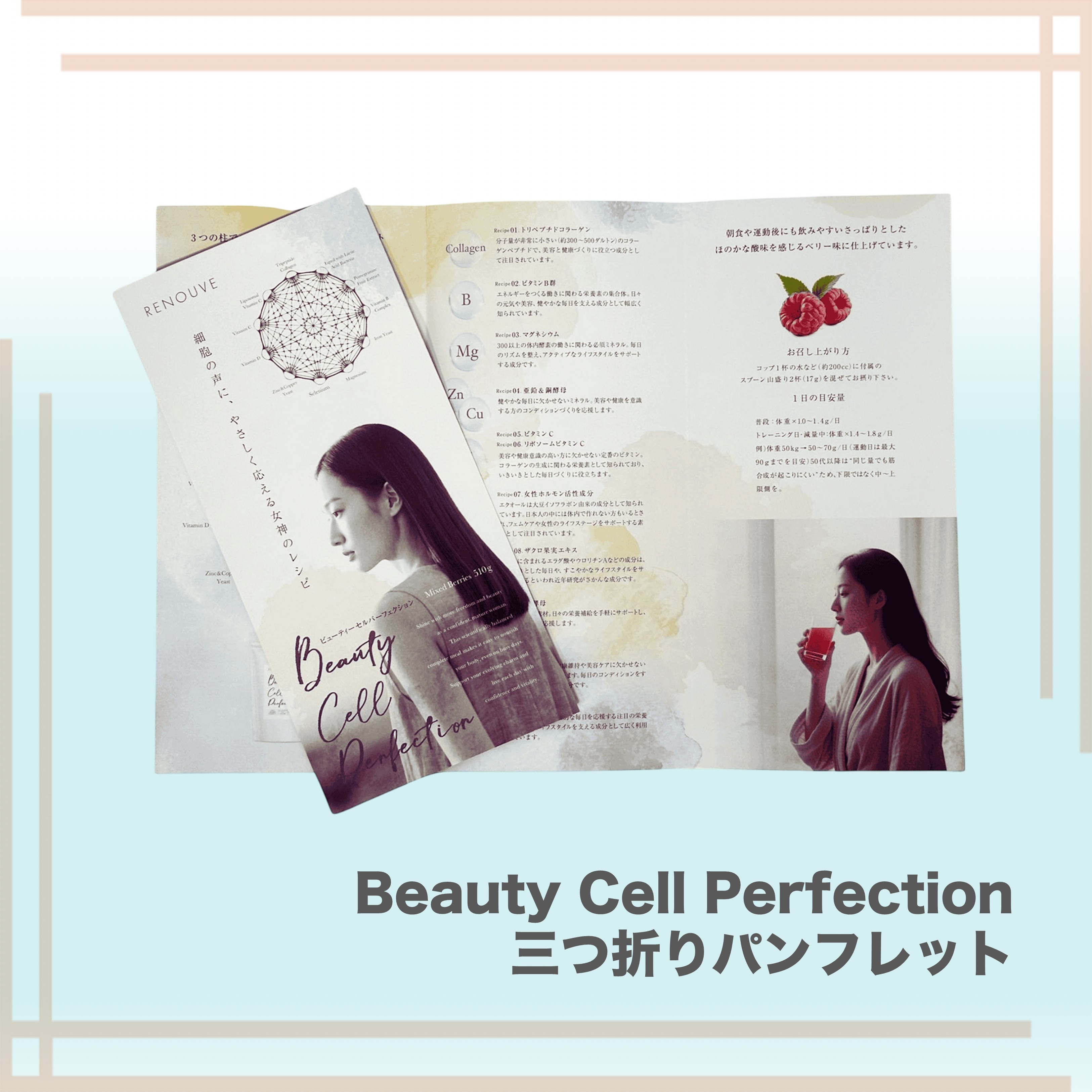 ビューティセルパーフェクション　3つ折りパンフレット