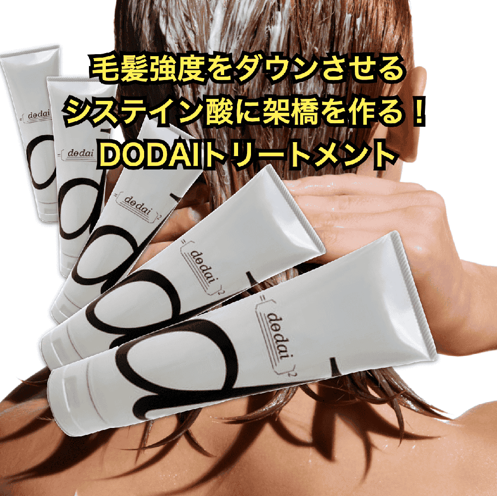 サラメンテ　ドダイスイニチトリートメント　250g