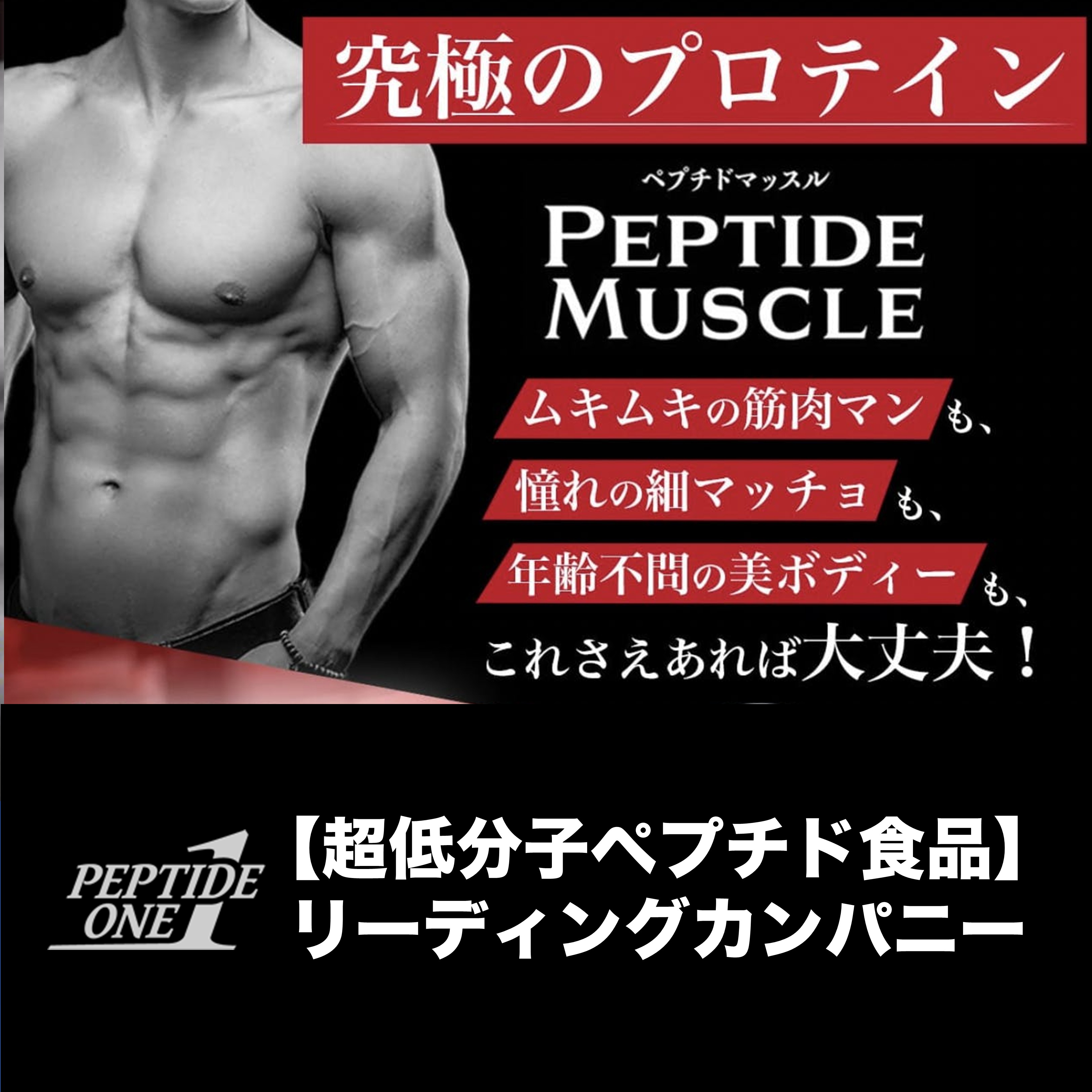 ペプチドマッスル商品　一覧/　アーカイブ